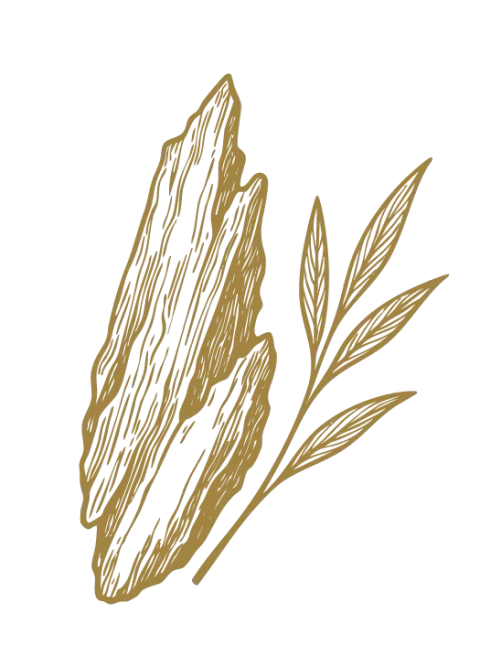 Agarvud