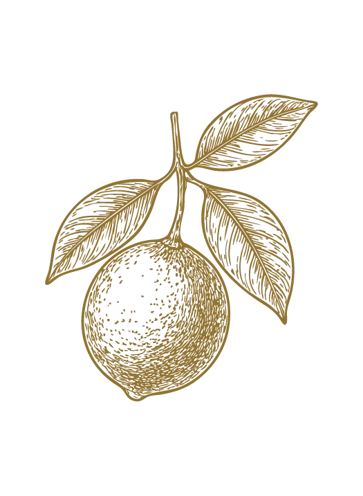 Limeta